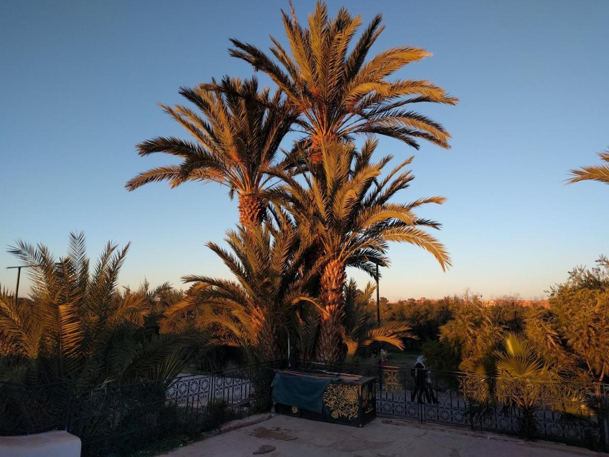 Opera Appartement, Hivernage Marrakech. Marrakesh Eksteriør bilde